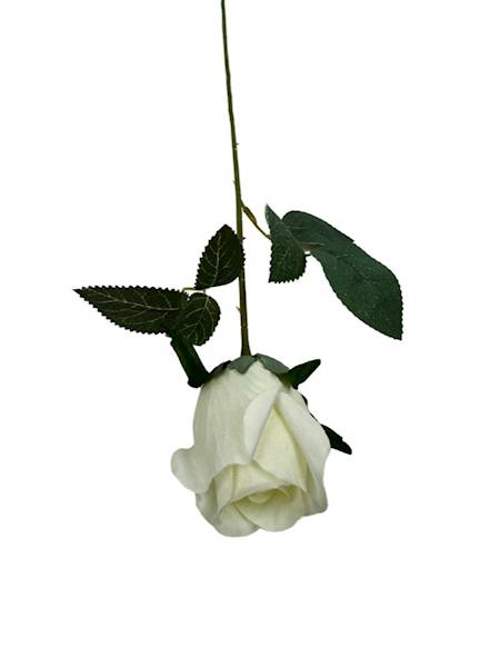 RÓŻA GAŁĄZKA 54 CM JASNY KREM