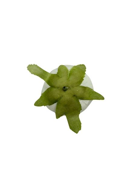 PEŁNIK GŁÓWKA 6 CM BIAŁY