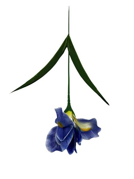 Irys gałązka 58 cm niebieski