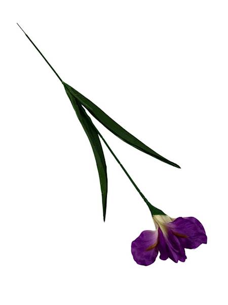 Irys gałązka 58 cm ciemny róż