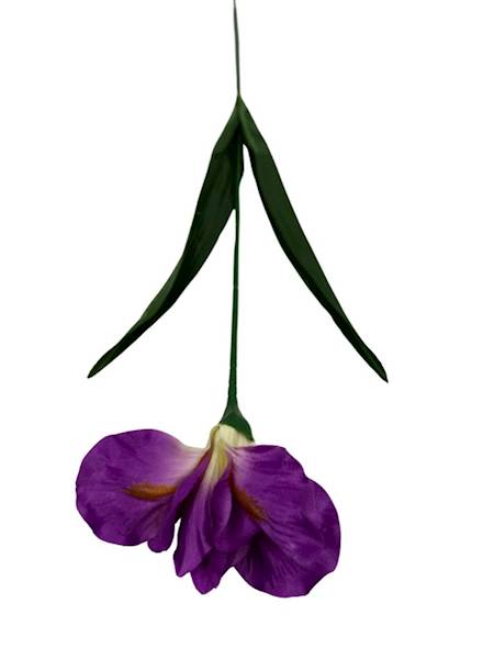 Irys gałązka 58 cm ciemny róż