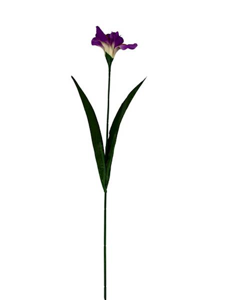 Irys gałązka 58 cm ciemny róż