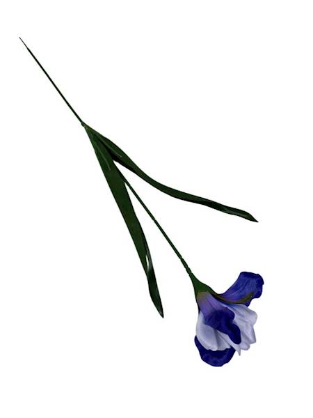 Irys gałązka 58 cm ciemny i jasny niebieski