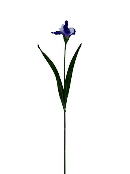 Irys gałązka 58 cm ciemny i jasny niebieski