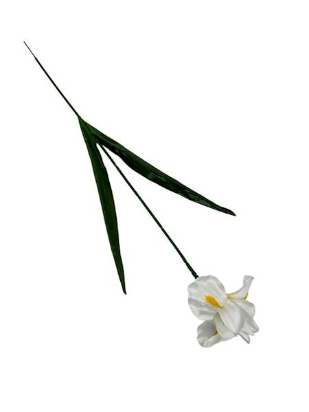 Irys gałązka 58 cm biały
