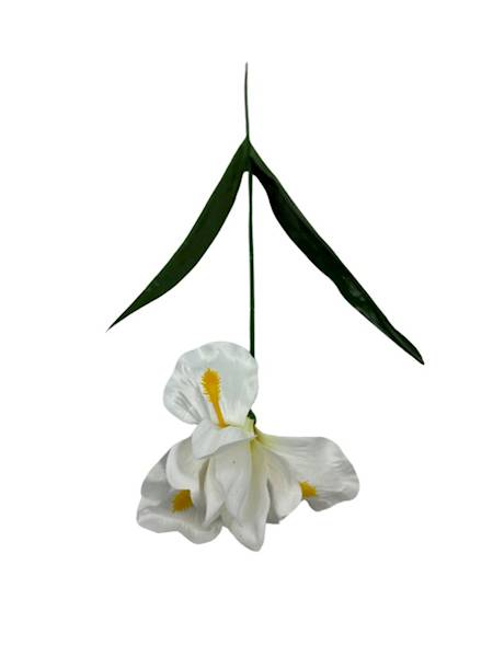 Irys gałązka 58 cm biały