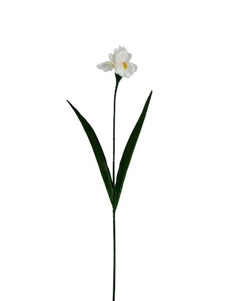 Irys gałązka 58 cm biały