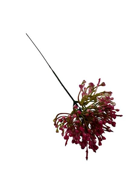 Czosnek gałązka 21 cm fuksja