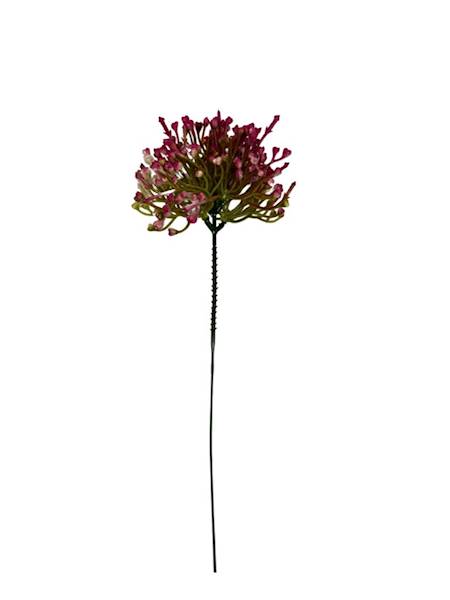 Czosnek gałązka 21 cm fuksja