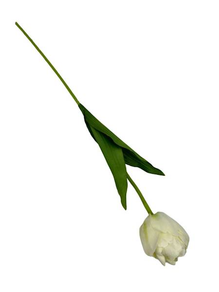 TULIPAN GAŁĄZKA 55 CM JASNY KREMOWY