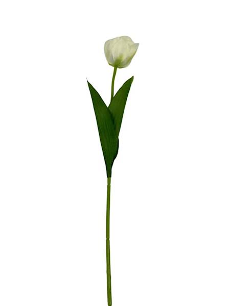 TULIPAN GAŁĄZKA 55 CM JASNY KREMOWY
