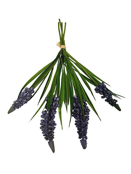 Szafirki wiązka 28 cm brudny fiolet