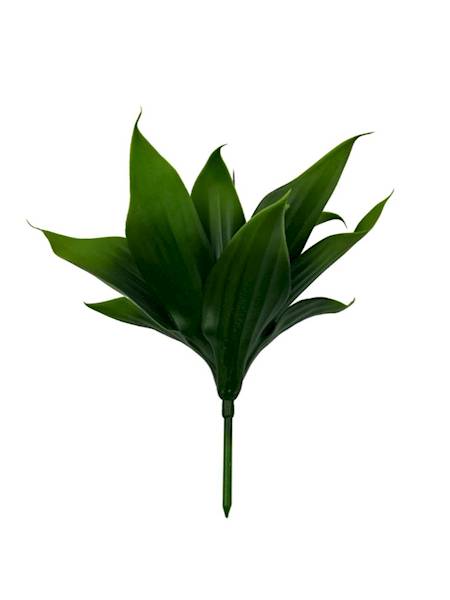 Sukulent krzew 32 cm zielony