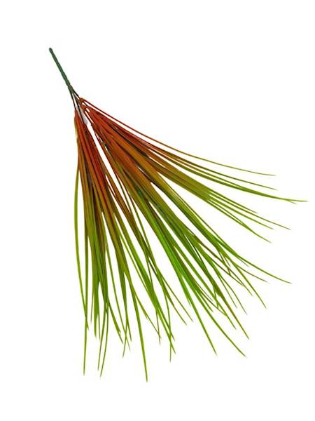 Trawa bukiet 49 cm zielono czerwona