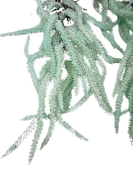 Szarłat zwisły 70 cm morski