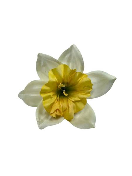 ŻONKIL GŁÓWKA 10 CM ŻÓŁTO KREMOWY