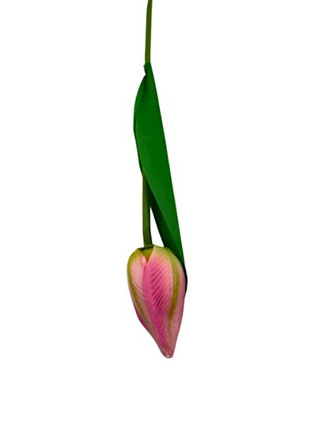 Tulipan gałązka 35 cm różowa