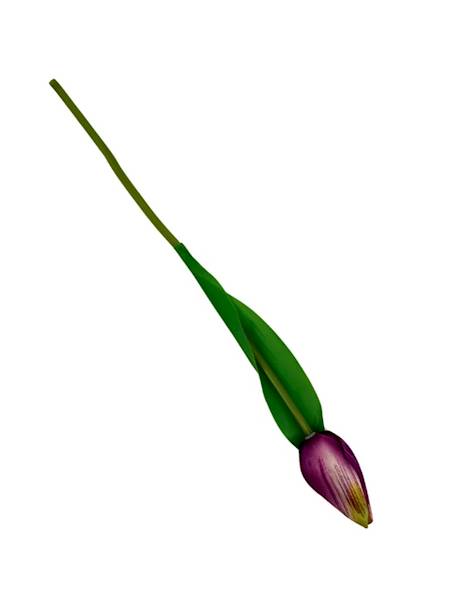 Tulipan gałązka 35 cm purpurowy