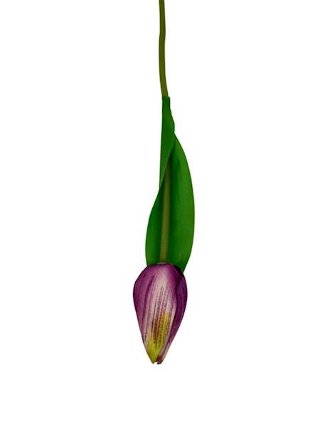 Tulipan gałązka 35 cm purpurowy