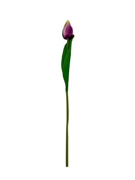 Tulipan gałązka 35 cm purpurowy