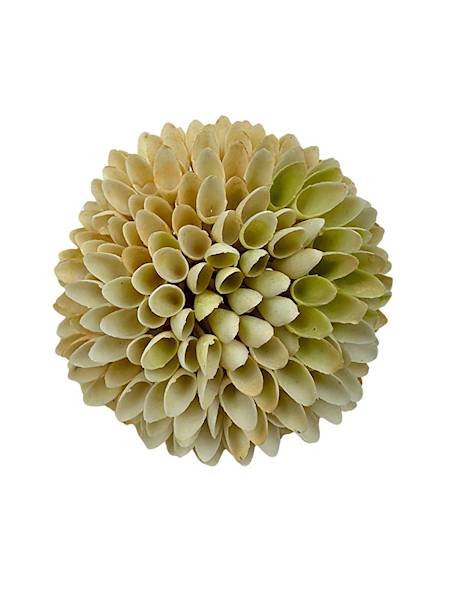 Czosnek główka plastikowa 9 cm delikatny pomarańcz