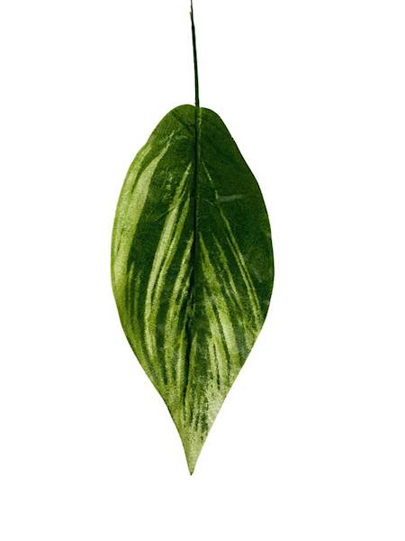 Liść 37 cm zielono biały