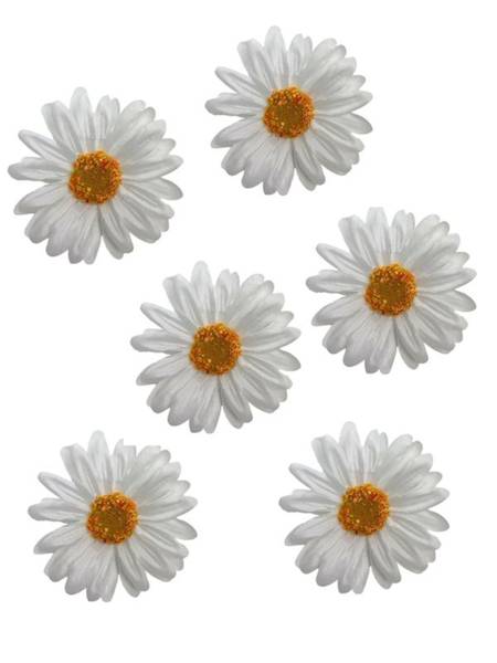 Margaretka główka 6 cm biała 6 sztuk