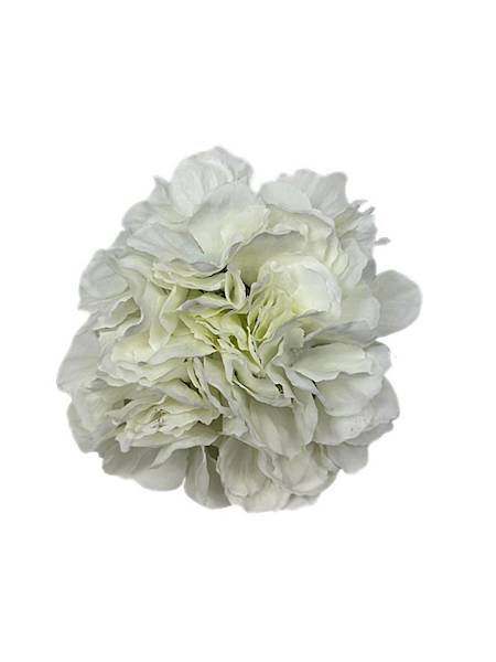 Hortensja główka 20 cm biała