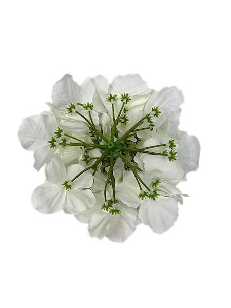 Hortensja główka 20 cm biała