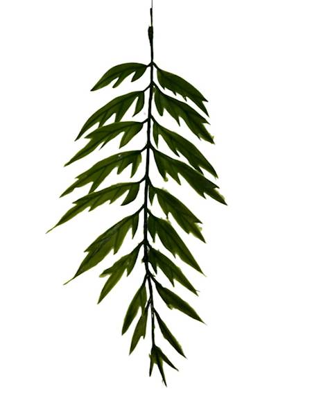 Liść paproć 35 cm zielony