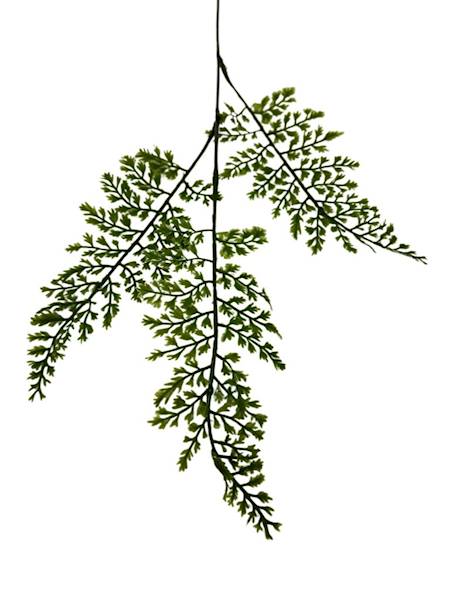 Liść paproć gałązka 56 cm zielony