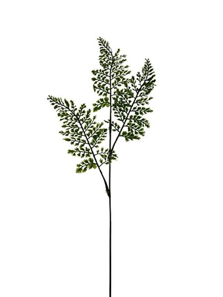 Liść paproć gałązka 56 cm zielony