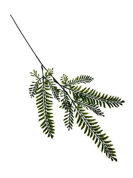 Liść paproć gałązka 54 cm zielony