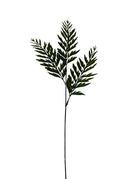 Liść paproć gałązka 57 cm zielony