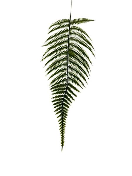 Liść paproć 40 cm zielony