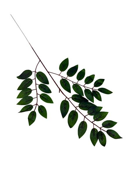 Liść 54 cm ciemno zielony