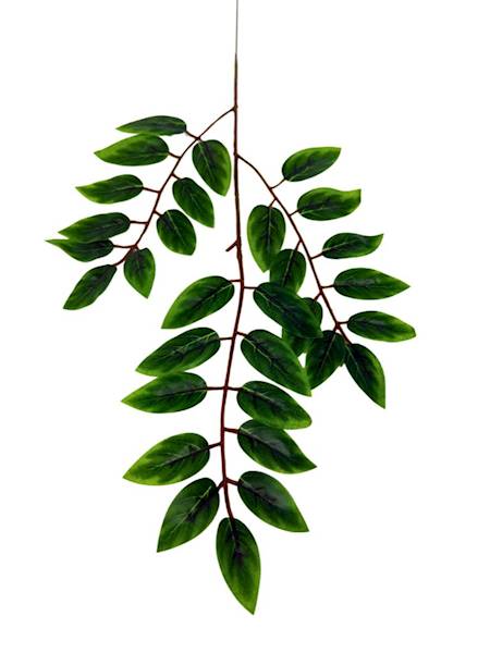 Liść 54 cm zielony