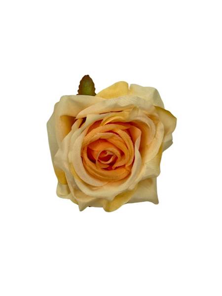 Róża główka 9 cm brzoskwiniowa