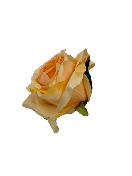 Róża główka 9 cm brzoskwiniowa