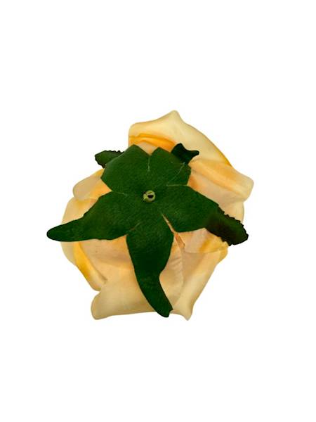 Róża główka 9 cm brzoskwiniowa