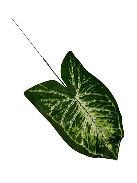 Liść alokazji 46 cm
