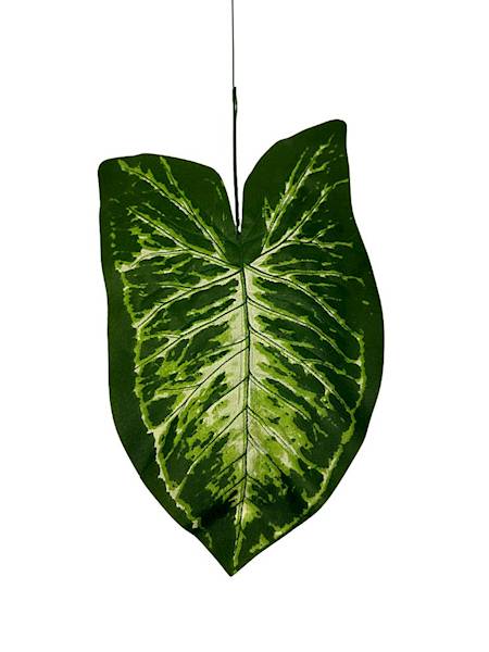 Liść alokazji 46 cm