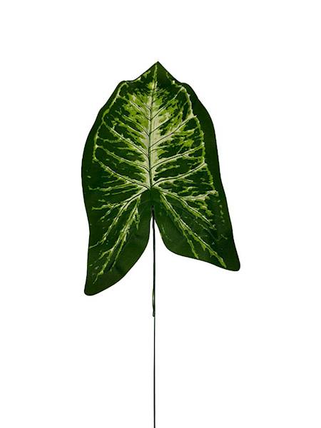 Liść alokazji 46 cm