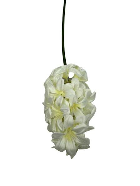 HIACYNT GAŁĄZKA 49 CM BIAŁY