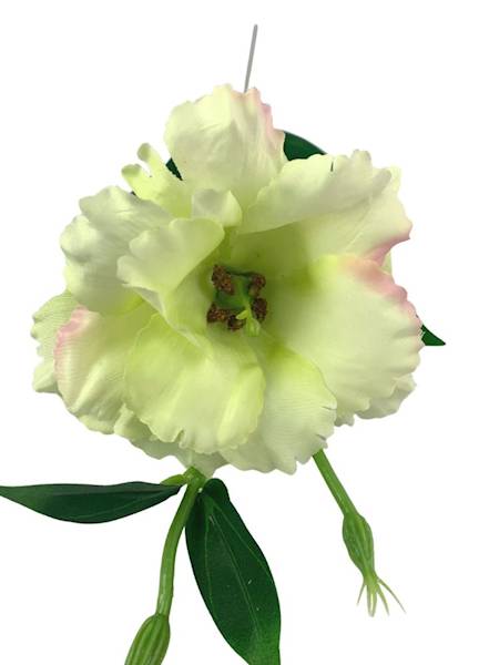 Eustoma gałązka 48 cm jasno zielona z różem