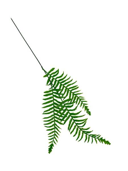 Liść paproci 58 cm