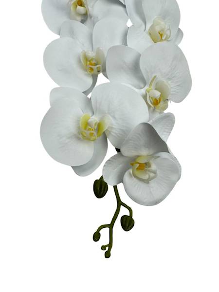 Storczyk silikonowy 100 cm biały