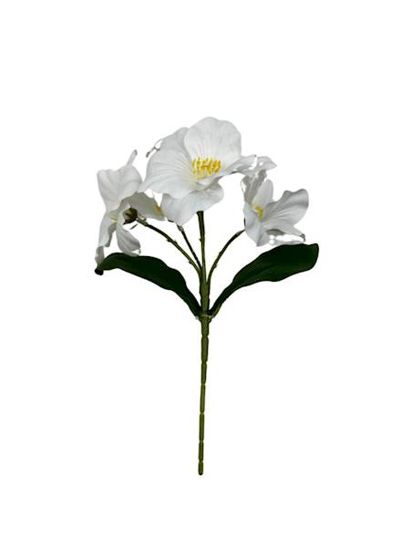 BUKIET MAGNOLIA 28 CM BIAŁY