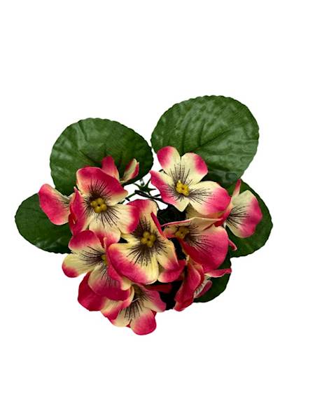 BRATKI BUKIET 19 CM RÓŻ KREM