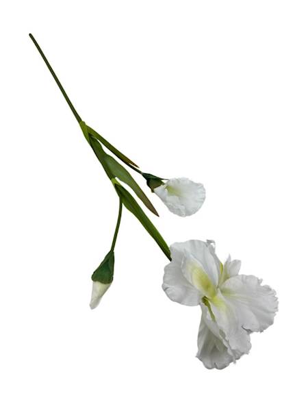 IRYS GAŁĄZKA 77 CM BIAŁY